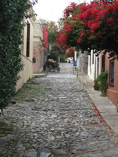 IMG_5368 Calle de Colonia.11.JPG